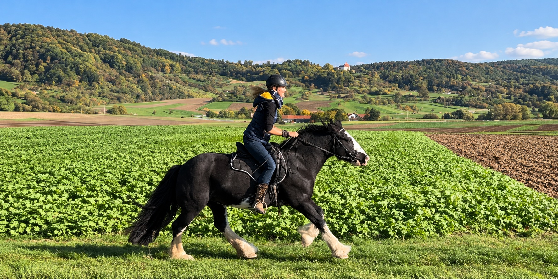 Reiterin auf Rosheen beim Galopp im Gelände